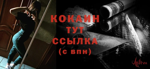 тгк Новодвинск