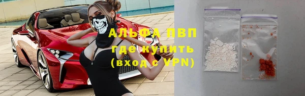 тгк Новодвинск