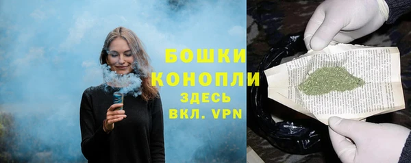 гидропоника Новозыбков