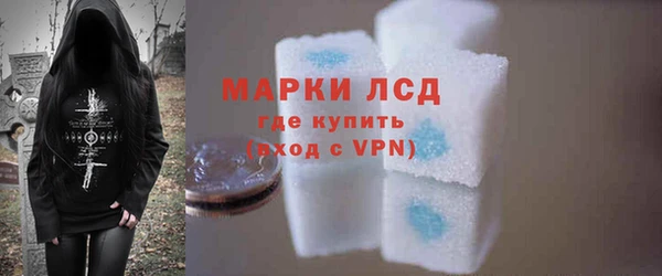 тгк Новодвинск