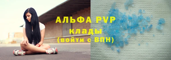 тгк Новодвинск