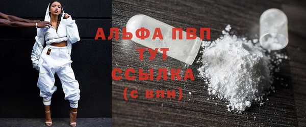 тгк Новодвинск