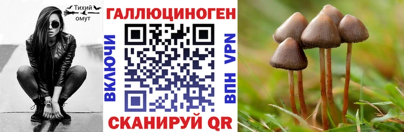 МЕГА ONION  наркотики  Лабытнанги  Псилоцибиновые грибы Psilocybine cubensis 
