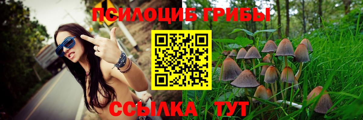 Галлюциногенные грибы GOLDEN TEACHER  Лабытнанги 